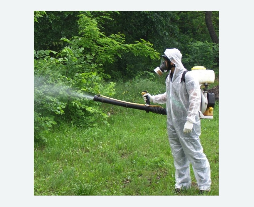 обработка территории от клещей в Гороховце
