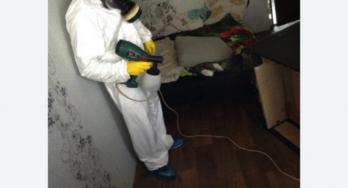 Обработка квартир от насекомых в Гороховце