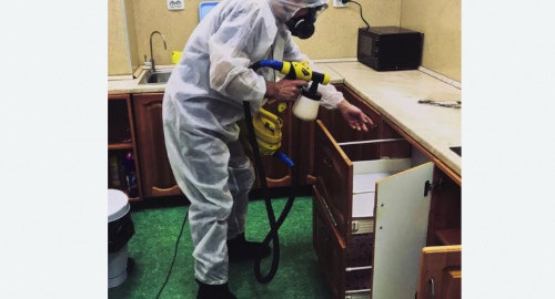 Дезинсекция квартиры. Гороховец