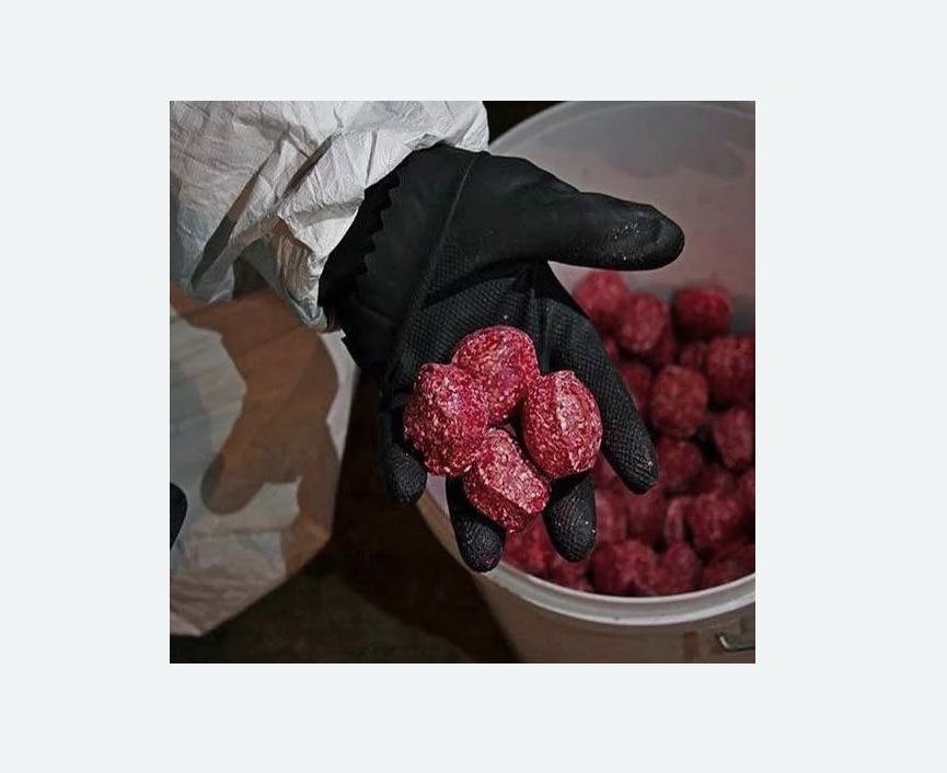 Обработка от крыс в Гороховце