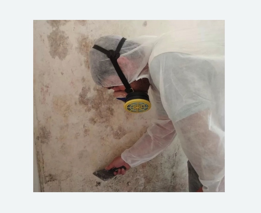 Обработка стен от плесени в Гороховце