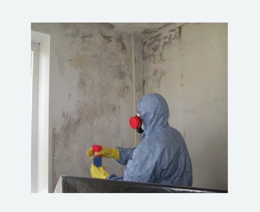 Удаление плесени в квартире в Гороховце