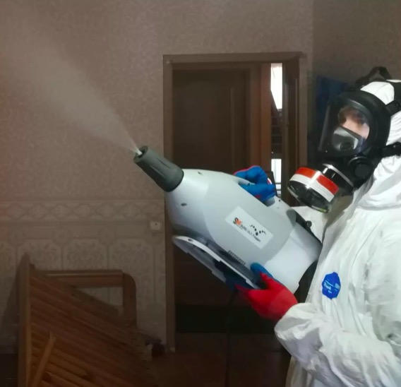дезинсекция помещения в Гороховце