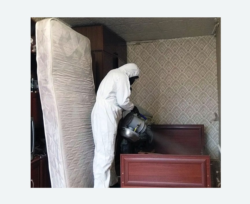 дезинфекция от клопов в Гороховце