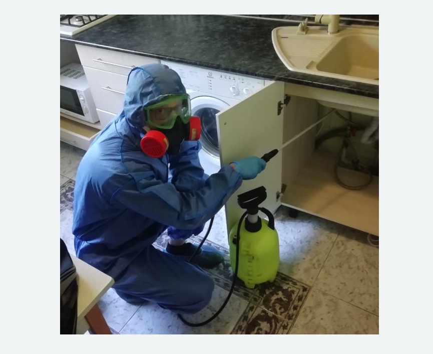 обработка от муравьев в квартире в Гороховце