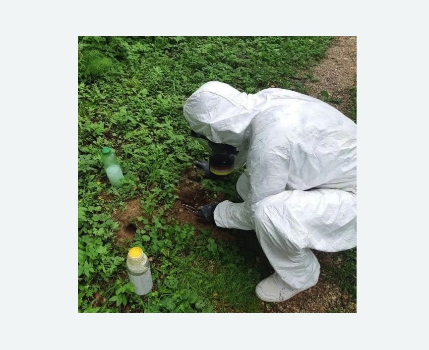 уничтожение кротов на участке в Гороховце