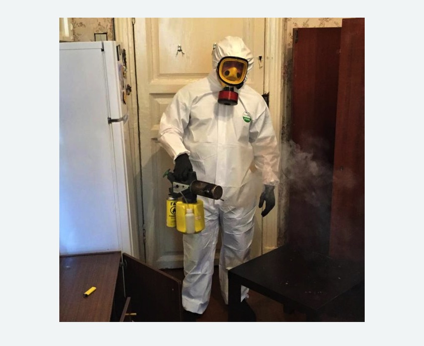 уничтожение муравьев в квартире в Гороховце